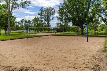 Volleyball court